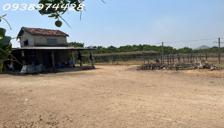 bán 14 ha. Đất tại xã Quãng Sơn - huyện Ninh Sơn. Ninh Thuận
0938974428