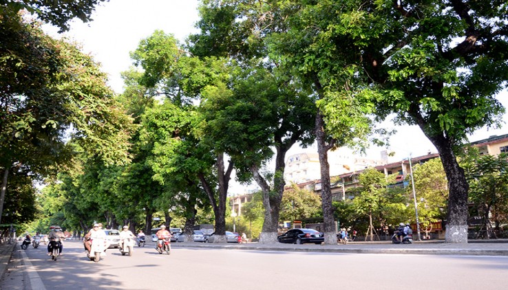 Nhà đẹp khu trung tâm Kim Mã, Ba Đình, 44 m2, MT 4 m, 5 tầng, giá chỉ 9.5 tỷ