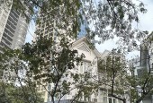 BIỆT THỰ LÔ GÓC- KĐT Mỹ Đình 163m2/ 4Tầng/ MT 15m 57 Tỷ, Ô tô tránh, K.Doanh tốt