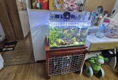 BÁN CĂN HỘ TẬP THỂ 50M-2.99TY-VĂN CHƯƠNG -ĐỐNG ĐA