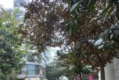 BÁN NHÀ MỖ LAO HÀ ĐÔNG, LÔ GÓC VỈA HÈ OTO TRÁNH KINH DOANH 7 TẦNG THANG MÁY, NHỈNH 14TỶ