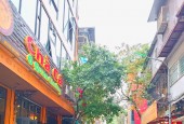 (Ô TÔ TRÁNH, THOÁNG VĨNH VIỄN) Bán Nhà Phân lô NGUYÊN HỒNG, Đống Đa. DT 50m 5T mặt tiền 4m
