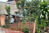 ĐẤT CHÍNH CHỦ- CẦN BÁN NHANH LÔ ĐẤT Tại Phường 1, TP Bảo Lộc, Lâm Đồng