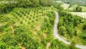 BÁN ĐẤT THỔ CƯ 153M2 GIÁ 350 triệu - CAM PHƯỚC ĐÔNG, CAM RANH,  SỔ ĐỎ CHÍNH CHỦ