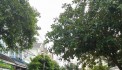 Căn Nhà Mơ Ước 5x20m, gần Võ Văn Ngân - Chỉ 10 Tỷ!  Sổ Hồng Chính Chủ