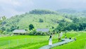 BÁN460M SẴN 100M ĐẤT Ở LƯƠNG SƠN-HB CÁCH TT HN 35KM GIÁ 1.X  TỶ
