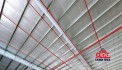 KCN Bến Lức cho thuê nhà xưởng hiện đại, tiếp nhận SX công nghệ cao, không xả thải