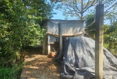 CHÍNH CHỦ BÁN 4.300M2 ĐẤT SHR NGAY ROYAL TÂN TRỤ-LONG AN