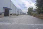 CHO THUÊ XƯỞNG 12.500M MỚI SẢN XUẤT TẠI TÂN UYÊN BÌNH DƯƠNG