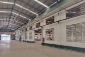 CHO THUÊ XƯỞNG 12.000M SẢN XUẤT TẠI AN PHÚ THUẬN AN BÌNH DƯƠNG