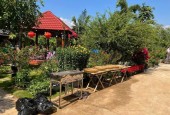 Bán gấp nhà 3900 m2. giá 300tr , nhà cấp 4 nhà chòi, sân vườn, cây trái