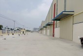 CHO THUÊ XƯỞNG 55.000M TẠI KCN BÌNH PHƯỚC SẢN XUẤT DỆT NHUỘM - XI MẠ