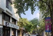 Bán nhà phố Hoàng Hoa Thám - Ba Đình 30m2 mt4,1m giá chỉ 5.7 tỷ