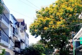 Mặt tiền đường số 9 khu Bình Hưng 6x18 Bình Chánh chỉ 12 tỷ 5