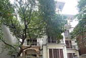 CỰC HIẾM-Biệt thự Lạc Long Quân (Sau UBND Quận Tây Hồ) 95m/4Tầng/MT 8m 43 Tỷ