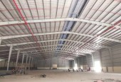 CHO THUÊ NHÀ XƯỞNG 6200M SẢN XUẤT NGÀNH GỖ TẠI TÂN UYÊN BÌNH DƯƠNG