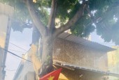 NGAY NGUYỄN SƠN - 84M 4❌21 - MẶT TIỀN KINH DOANH 84M - LÔ GÓC 0 LG NHỈNH 7 TỶ
