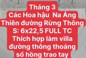 1800M2 ĐẤT VÀNG RỪNG THÔNG BẢN ÁNG