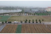 Siêu phẩm cạnh bãi tắm Quất Lâm 100m2 giá rẻ nhất thị trường