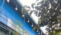 NHÀ CHÍNH CHỦ NGAY LOTTE Q7 VÀ ĐH NGUYỄN TẤT THÀNH