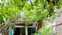 DIỆN TÍCH 2100m2-CÓ DÒNG THU NHẬP HÀNG THÁNG 200tr-- SAU LƯNG CHỢ TÂN QUY.,