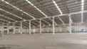 CHO THUÊ NHÀ XƯỞNG 12000M  THUẬN AN BÌNH DƯƠNG