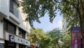 Bán nhà phố Hoàng Hoa Thám - Ba Đình 30m2 mt4,1m giá chỉ 5.7 tỷ