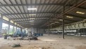 CHO THUÊ 10.000M NHÀ XƯỞNG SẢN XUẤT TẠI CHƠN THÀNH BÌNH PHƯỚC