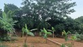 Chỉnh chủ cần bán đất thổ cư tại thôn Yên Thái, Xã Đông Yên, Quốc Oai, Hà Nội.