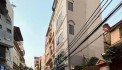 LẠC LONG QUÂN - LÔ GÓC 2 MẶT NGÕ - Ô TÔ VÀO NHÀ - KINH DOANH SẦM UẤT - NHÀ MẶT NGÕ Ô TÔ TRÁNH