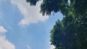 B.án mat phố Vạn Mặt phố víp kinh doanh vô đối dòng tiền khủng- giá cực hấp dẫn chủ thiện trí bán. 66m-mt 4.6m.