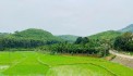 bán siêu phẩm  bám cánh đồng view hồ  tại kim bôi , bám đường bê tông gần khu du lịch nghỉ dưỡng