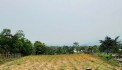 bán đất gần dự án sungroup phù hợp đầu tư sinh lời