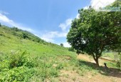 CẦN BÁN 9000M ĐẤT VIEW HỒ NGÀNH LIÊN SƠN - HÒA BÌNH