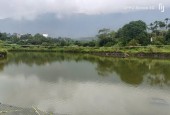 Bán 3ha  thổ cư có hồ giữa đất tại Yên Xuân, Thạch Thất, Hà Nội