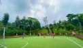 Bán khu biệt thự rộng 1800m2 tại Cố Đụng xã Yên Xuân Thachk Thất, Hà Nội