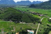 BÁN LÔ ĐẤT NGHỈ DƯỠNG ĐẸP – KIM BÔI, HÒA BÌNH 2500m2 400tc GIÁ CHỈ NHINH 1TR/M2