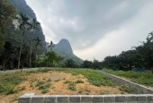  BÁN ĐẤT 400M² (50M² THỔ CƯ) TẠI TÂN VINH, LƯƠNG SƠN, PHÚ THỌ 