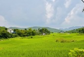  BÁN VILLA SIÊU ĐẸP – BEVERHILL, CƯ YÊN, LƯƠNG SƠN, HÒA BÌNH 