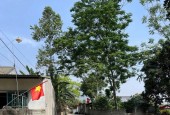 CẦN BÁN NGAY 480m2 giáp dự án đường ĐÔNG DƯƠNG đang khởi công