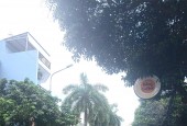 MẶT TIỀN KINH DOANH, NGANG LÍ TƯỞNG 5.3M , 4 TẦNG, 43M2 - SỔ HỒNG RIÊNG -  GIÁ NHỈNH 8  TỶ TÍ