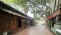 Bán 1200m2 đất tặng biệt thự mặt phố Đội Cấn phường Ngọc Hà
