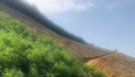  BÁN 4,6HA ĐẤT RSX TẠI KIM LẬP, KIM BÔI, HÒA BÌNH OTO VÀO TẬN NƠI 