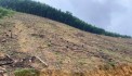  BÁN 4,6HA ĐẤT RSX TẠI KIM LẬP, KIM BÔI, HÒA BÌNH OTO VÀO TẬN NƠI 