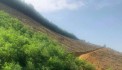  BÁN 4,6HA ĐẤT RSX TẠI KIM LẬP, KIM BÔI, HÒA BÌNH OTO VÀO TẬN NƠI 