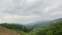  BÁN 4,6HA ĐẤT RSX TẠI KIM LẬP, KIM BÔI, HÒA BÌNH OTO VÀO TẬN NƠI 