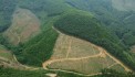  BÁN 4,6HA ĐẤT RSX TẠI KIM LẬP, KIM BÔI, HÒA BÌNH OTO VÀO TẬN NƠI 