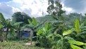 Bán mảnh đất Bắc Phong - Cao Phong - Hòa Bình 1300m có 1010 m thổ cư giá đầu tư