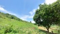 CHÍNH CHỦ CẦN BÁN 9000M ĐẤT VIEW HỒ NGÀNH LIÊN SƠN - HÒA BÌNH GIÁ CHỈ NHỈNH 6TY