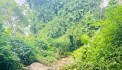 BÁN ĐẤT KIM BÔI VIEW SUỐI CỰC ĐẸP GIÁ CHỈ NHỈNH 1 TỶ